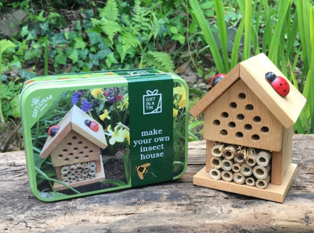 Apples & Pears Make Your Own Insect House