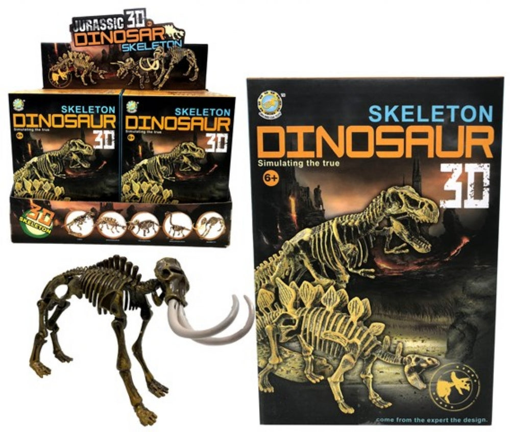 3D Dinosaur Skeleton