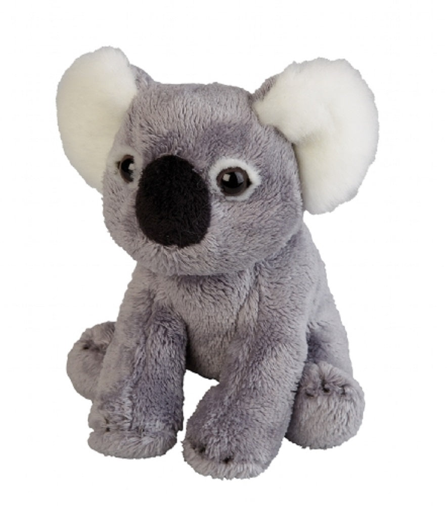 Ravensden Koala Plush 14cm