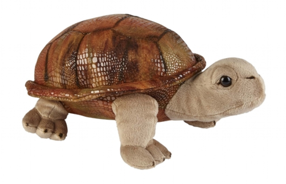 Ravensden Plush Tortoise 32cm