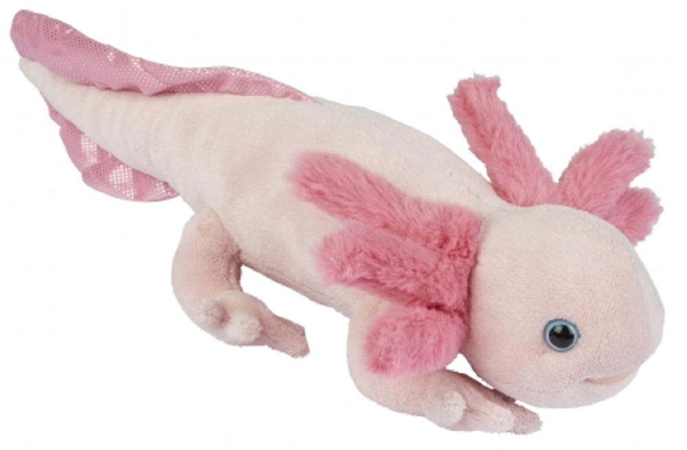 Ravensden Axolotl Soft Plush Toy 36cm