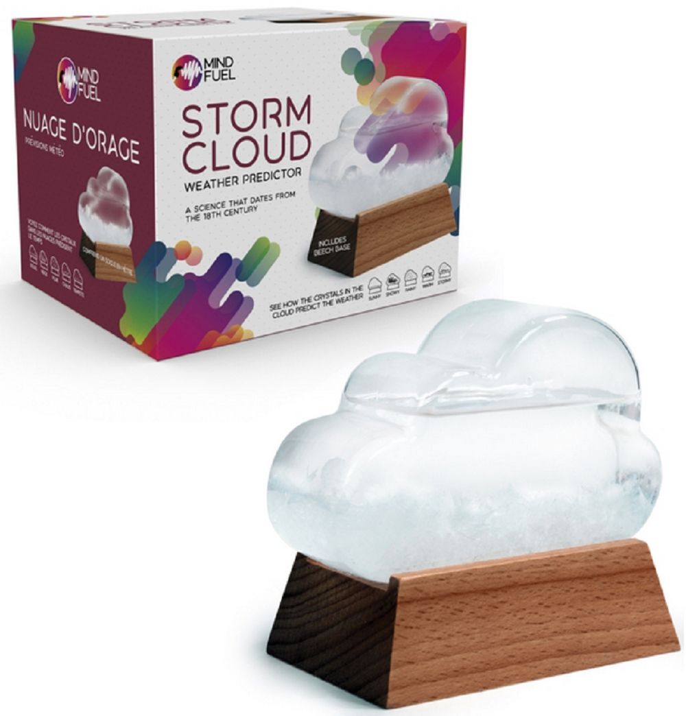 Funtime Gifts Storm Cloud