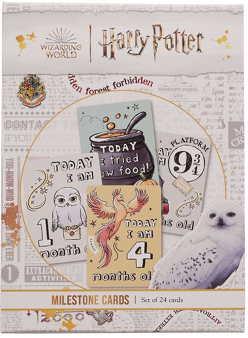Harry Potter Set Of 24 Milestone Cards