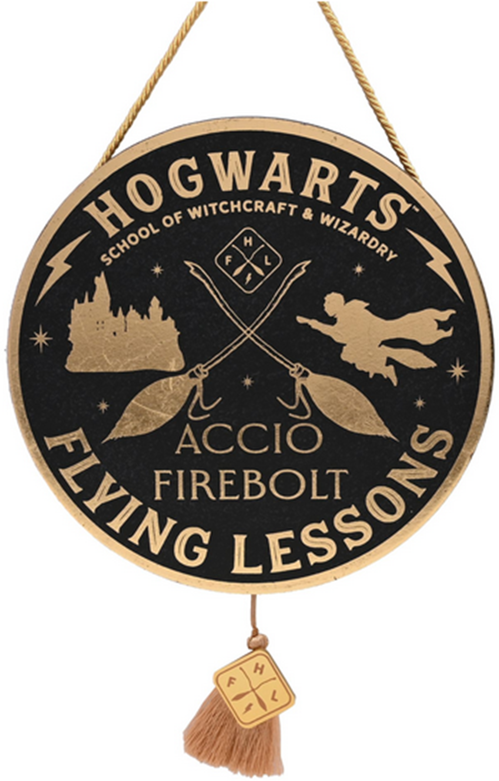 Harry Potter Flying Lesson Pendant