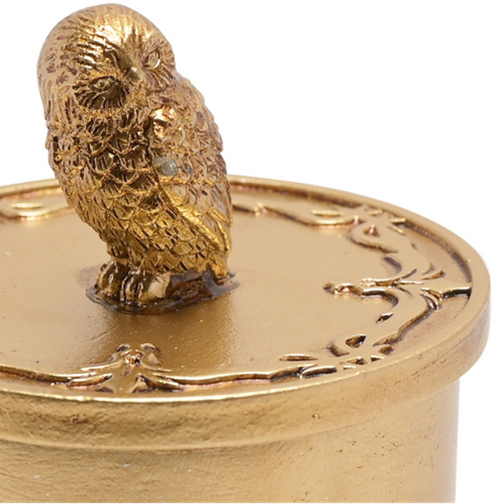 Harry Potter Hedwig Golden Trinket Pot
