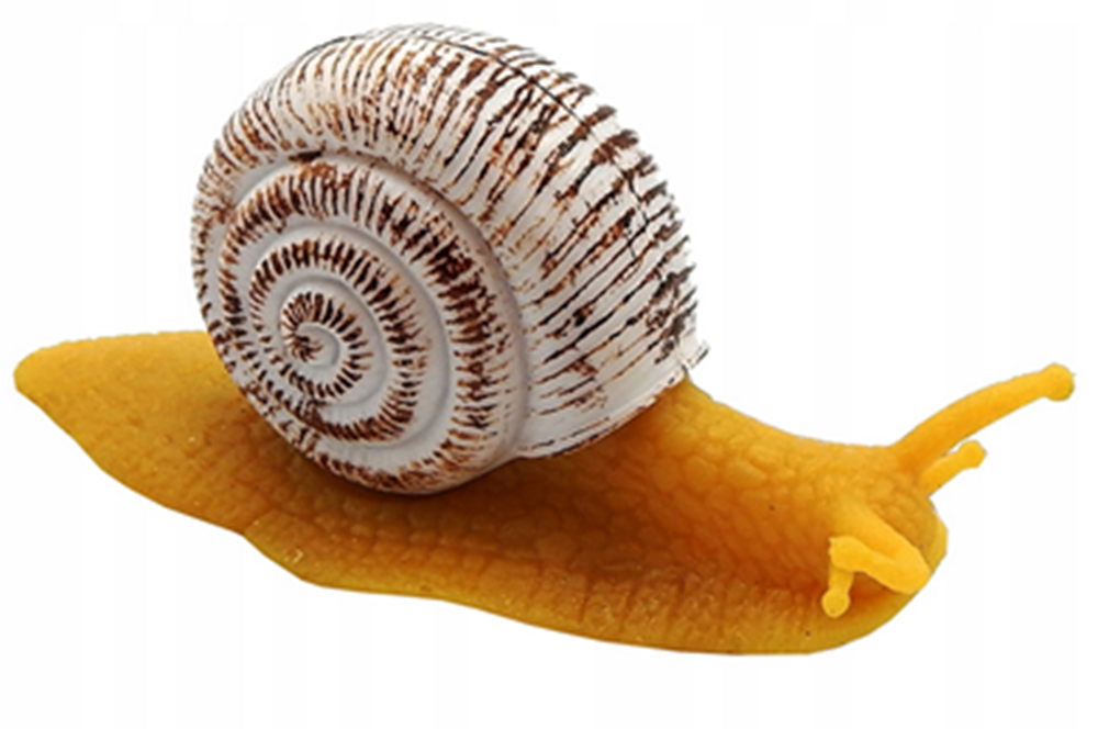 Ark Toys Snail With Hard Shell Toy