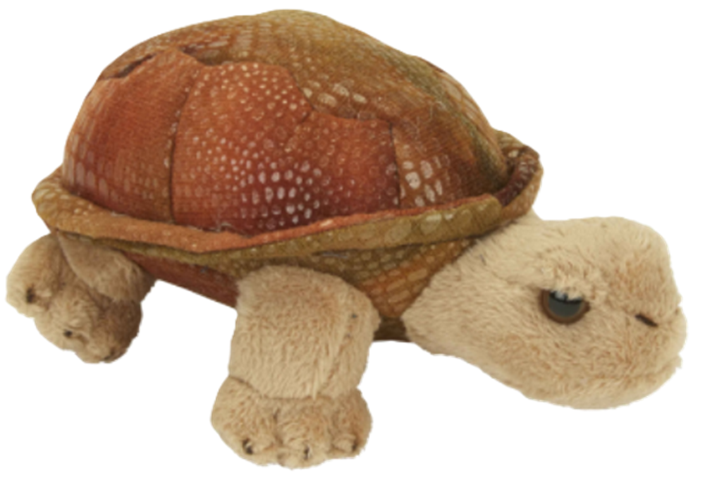 Ravensden Soft Toy Plush Giant Tortoise 15cm