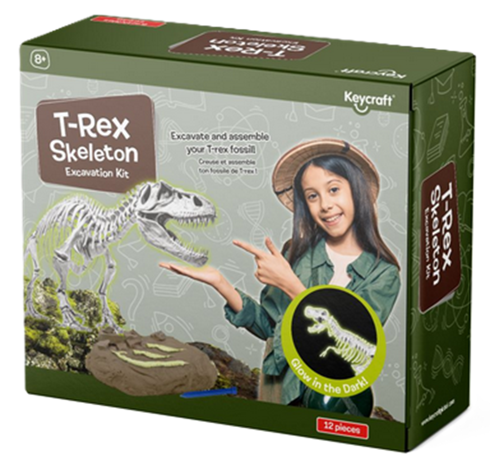 Keycraft Glow In The dark T-Rex Skeleton Excavation Kit