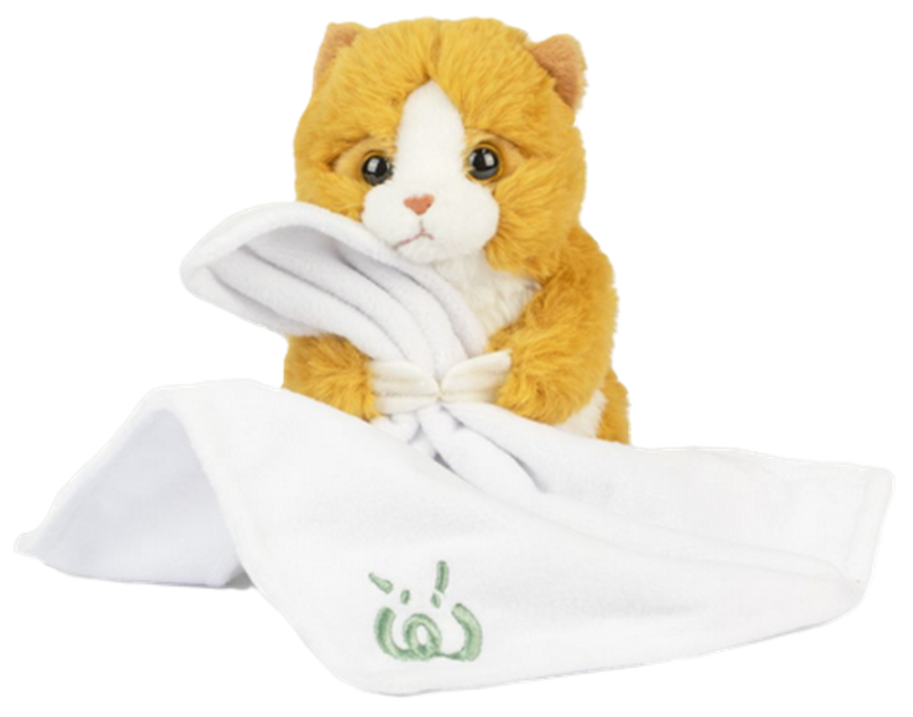 Keycraft Living Nature Babies Ginger Kitten With Blanket