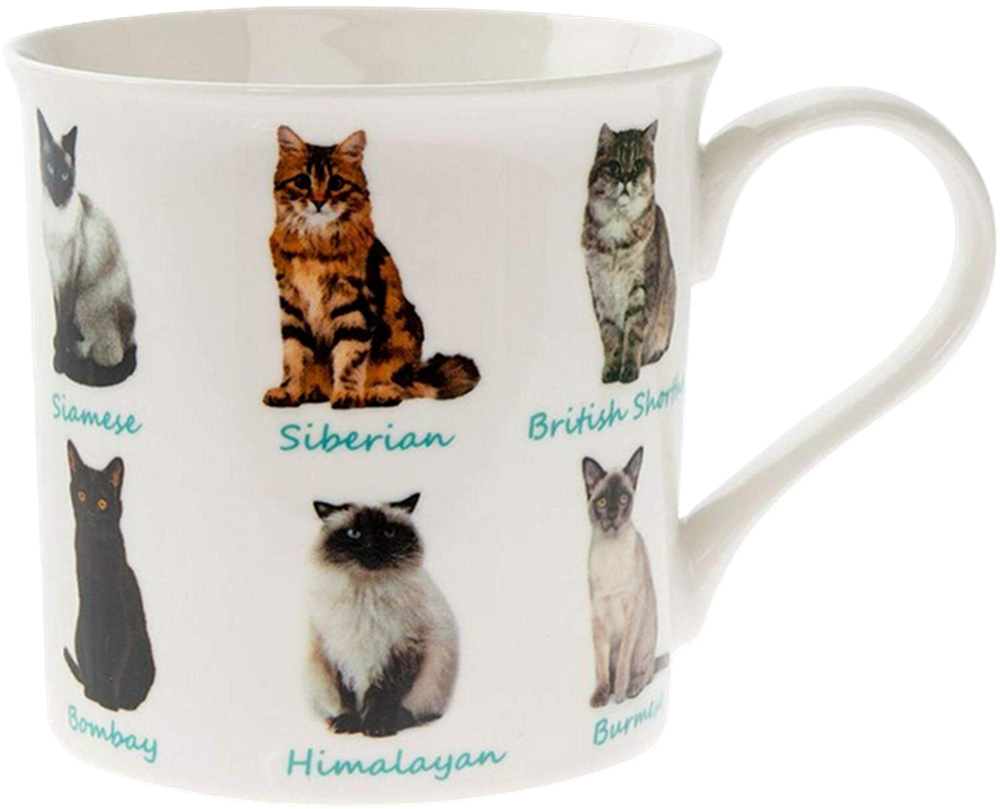 Lesser & Pavey Cat Mug