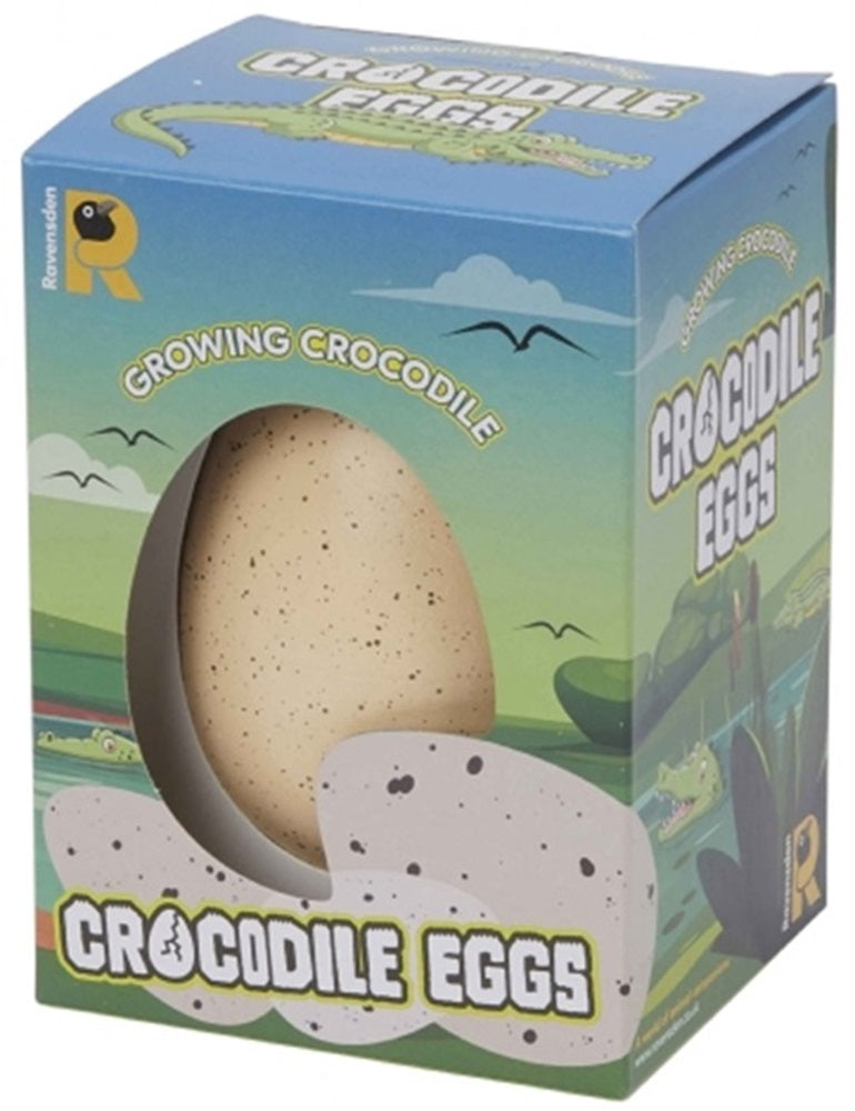 Ravensden Crocodile Egg Hatching 14cm