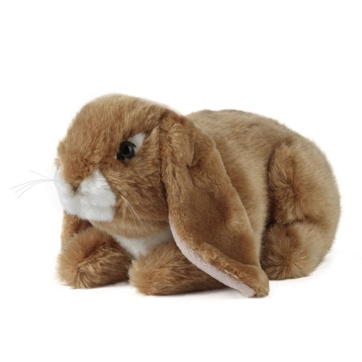 Living Nature Lop Eared Rabbits