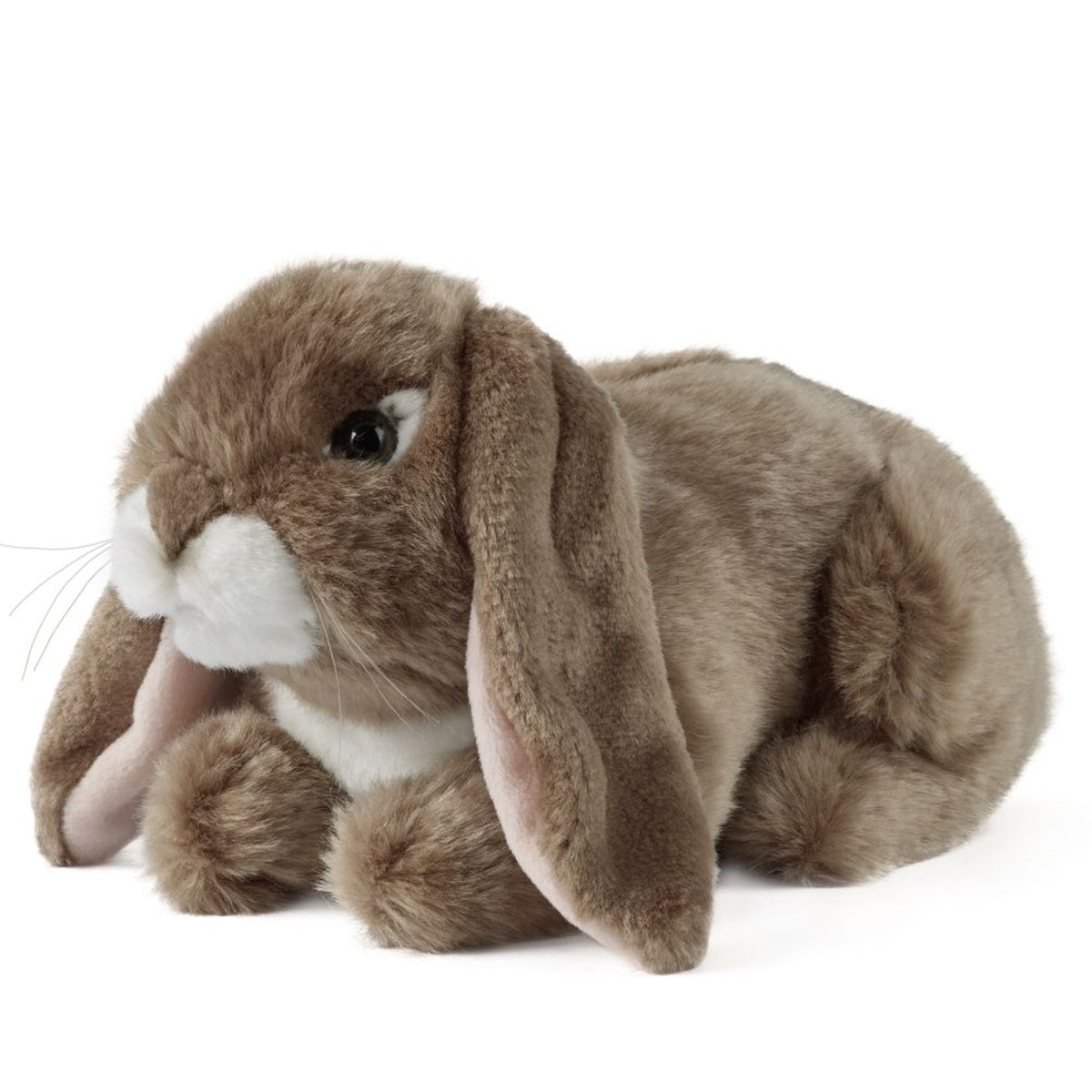 Living Nature Lop Eared Rabbits