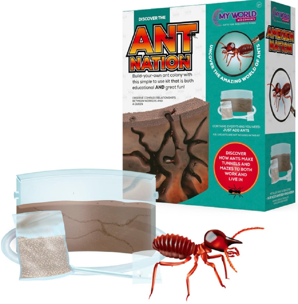 Funtime Gifts Ant Colony