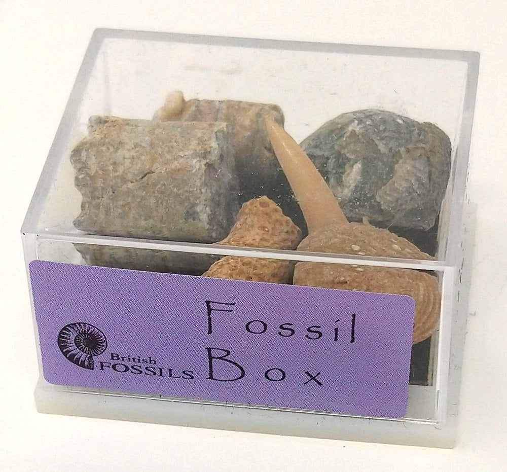 Keycraft Minerals In Box