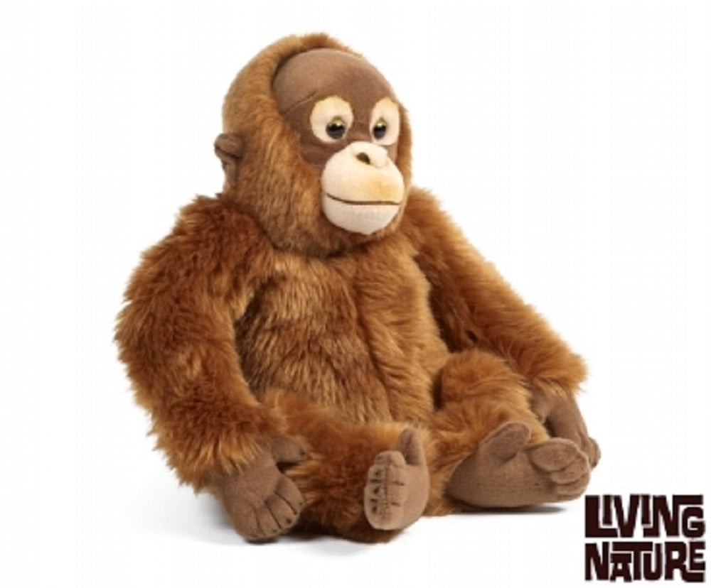 Living Nature Orangutan
