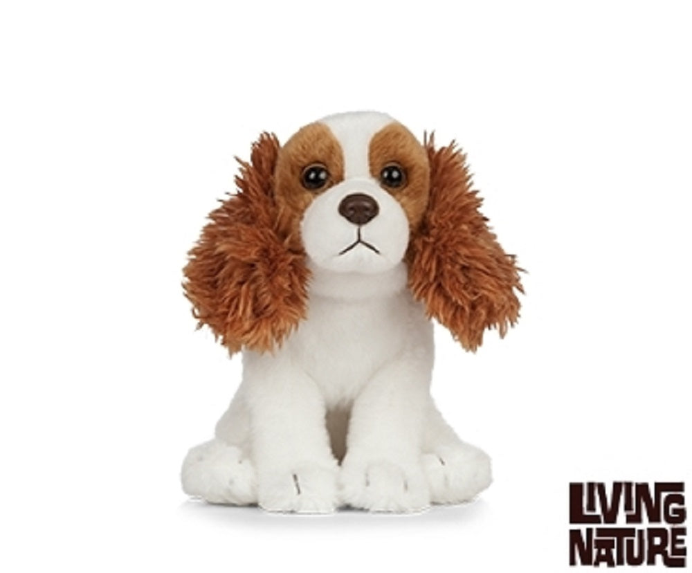 Living Nature King Charles Cavalier Puppy