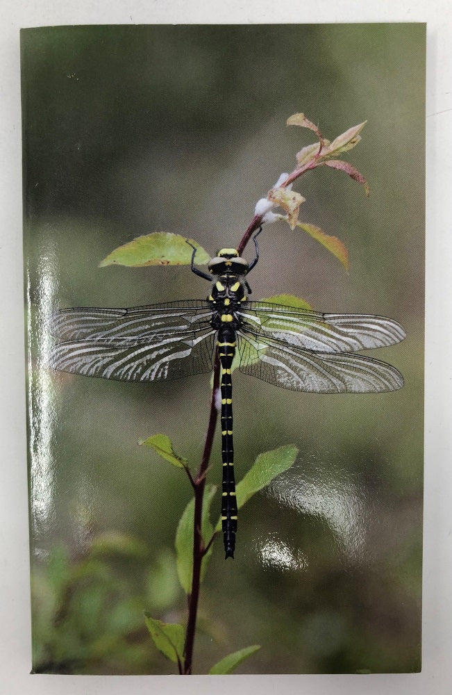 Keycraft Insect Mini Notebook - 8cm x 15cm