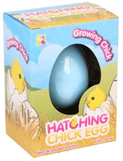 Nurchums Hatching Chick Egg