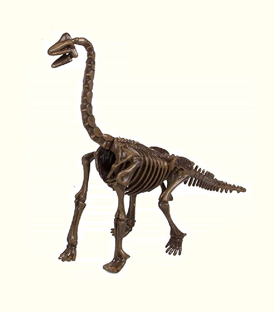 3D Dinosaur Skeleton
