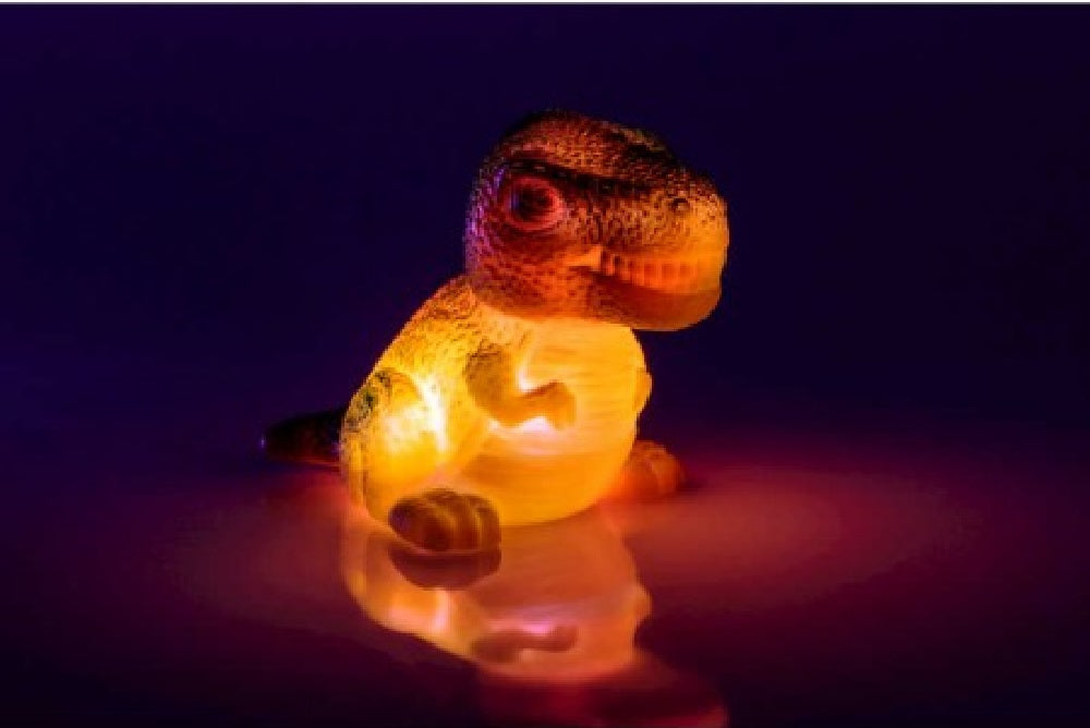 Dinosaur Bath Light
