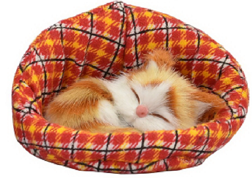 Kandytoys Small Kitten In a Basket - 6 Designs Available