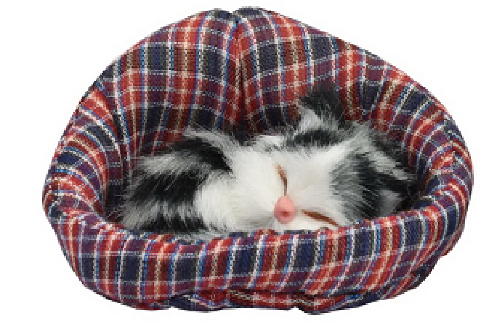 Kandytoys Small Kitten In a Basket - 6 Designs Available