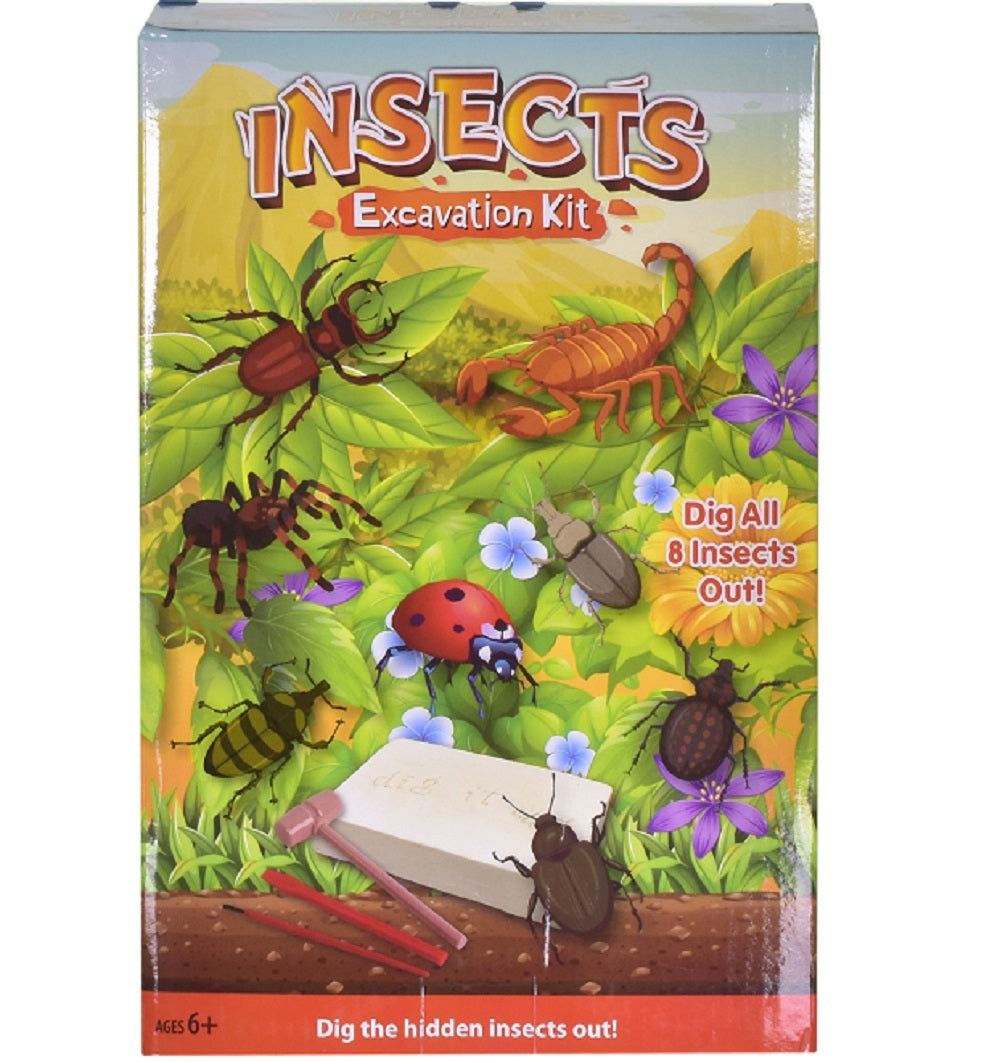 Insects Excavation Kit