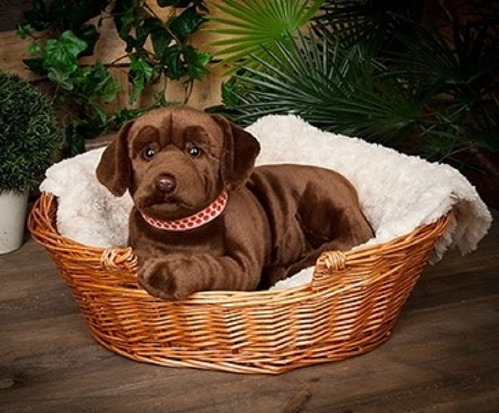 Living Nature Giant Chocolate Labrador 60cm