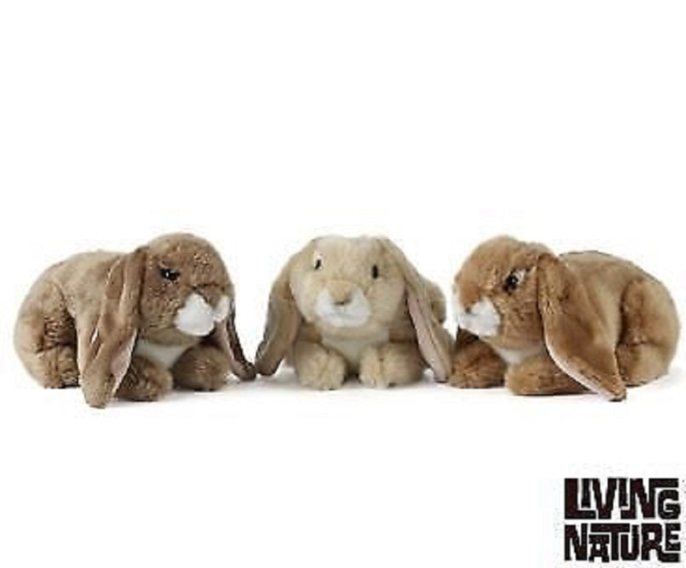 Living Nature Lop Eared Rabbits