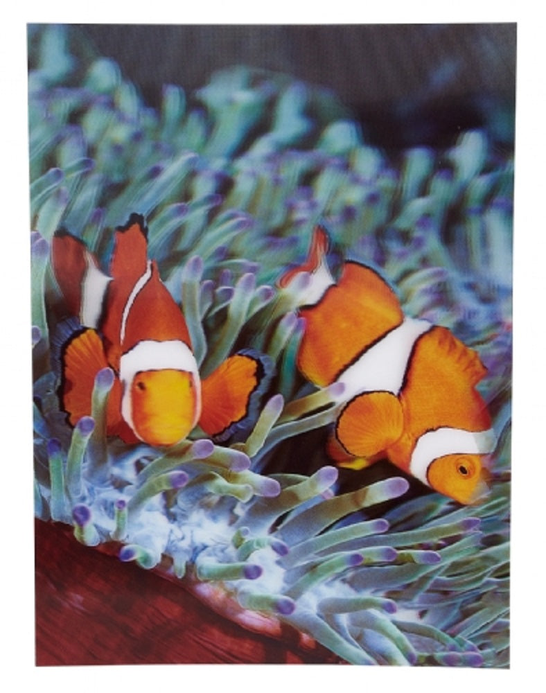 Ravensden 3D Clown Fish Poster 40cm
