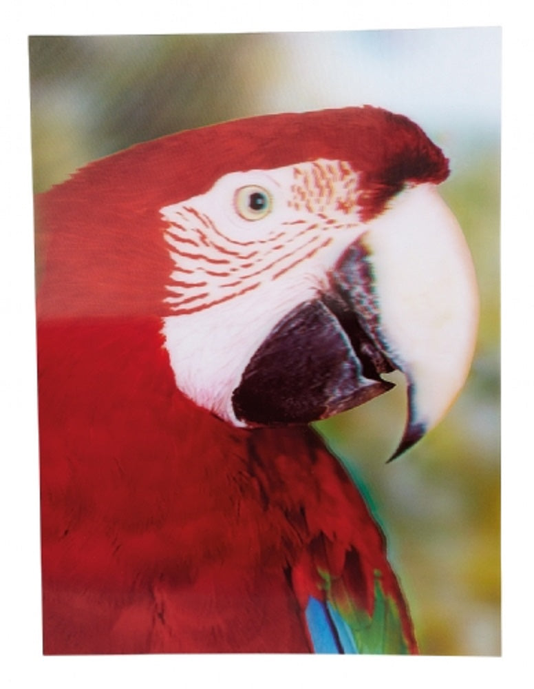 Ravensden 3D Parrot Poster 40cm
