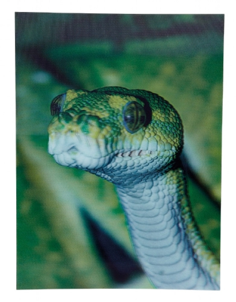 Ravensden 3D Snake Poster 40cm