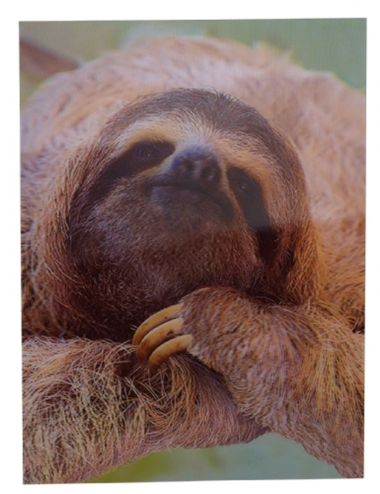 Ravensden 3D Sloth Poster 40cm