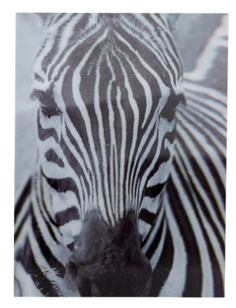 Ravensden 3D Zebra Poster 40cm