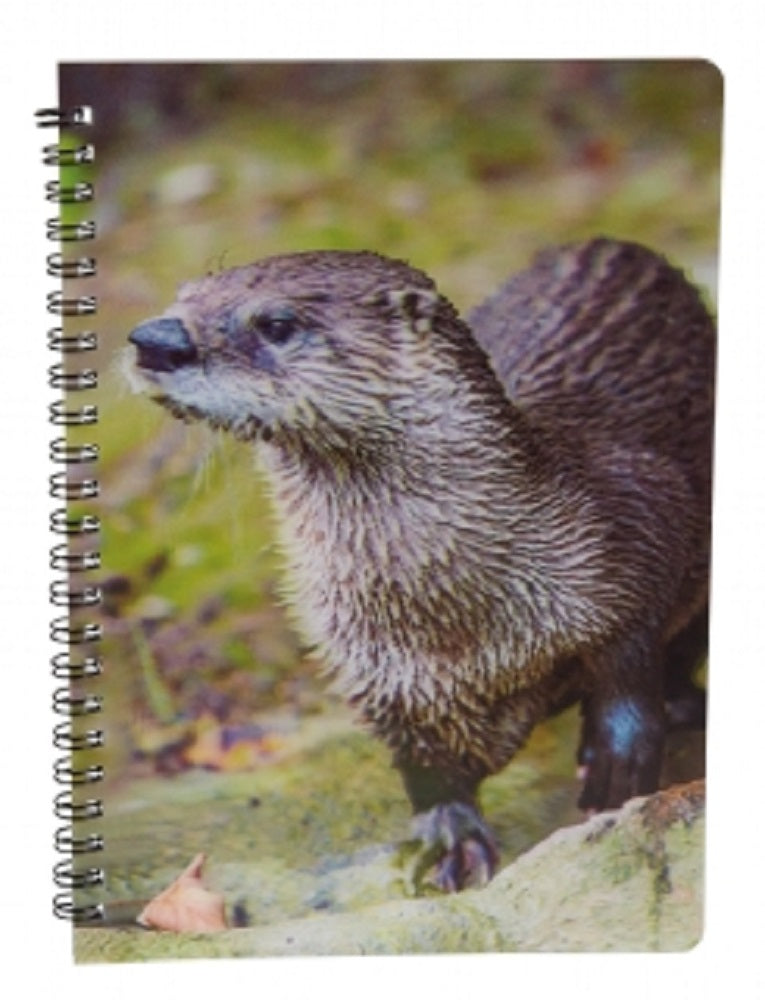 Ravensden 3D Otter Notebook 21cm