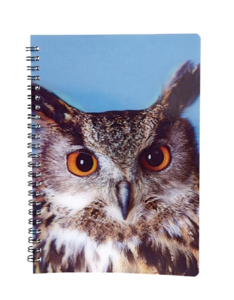 Ravensden 3D Owl Notebook 21cm
