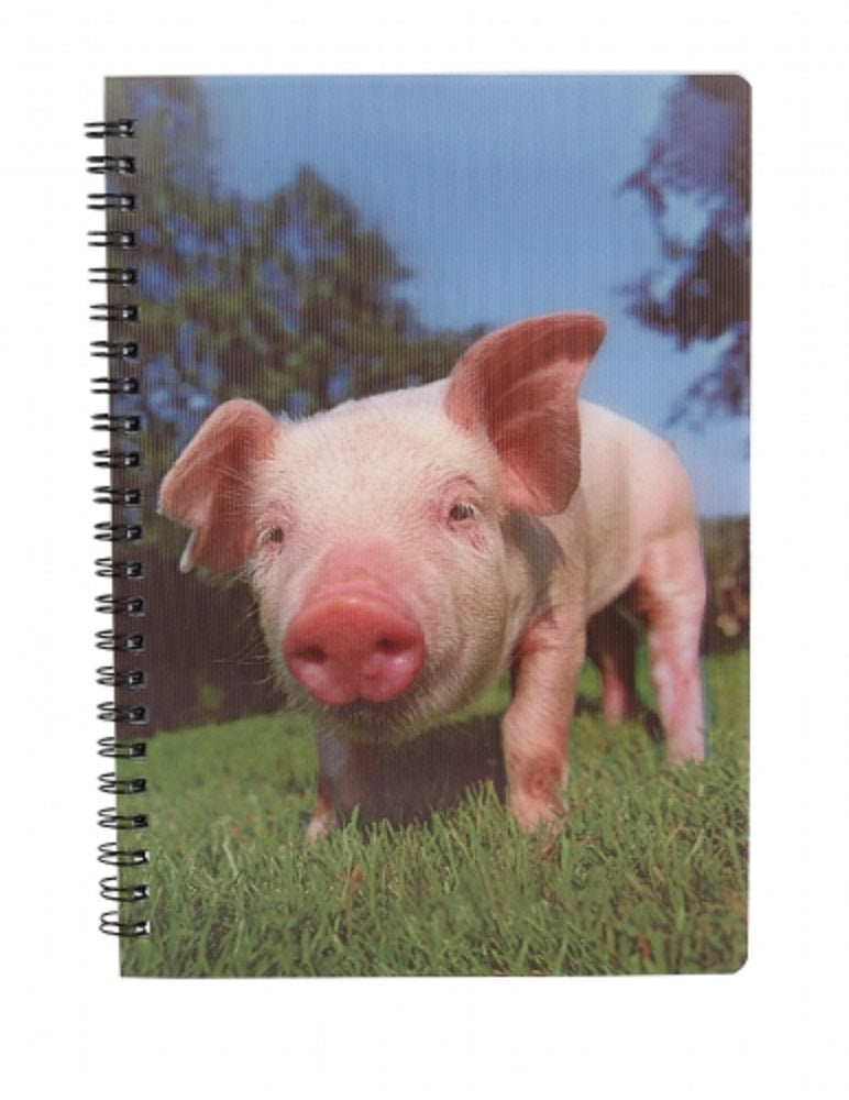 Ravensden 3D Pig Notebook 21cm