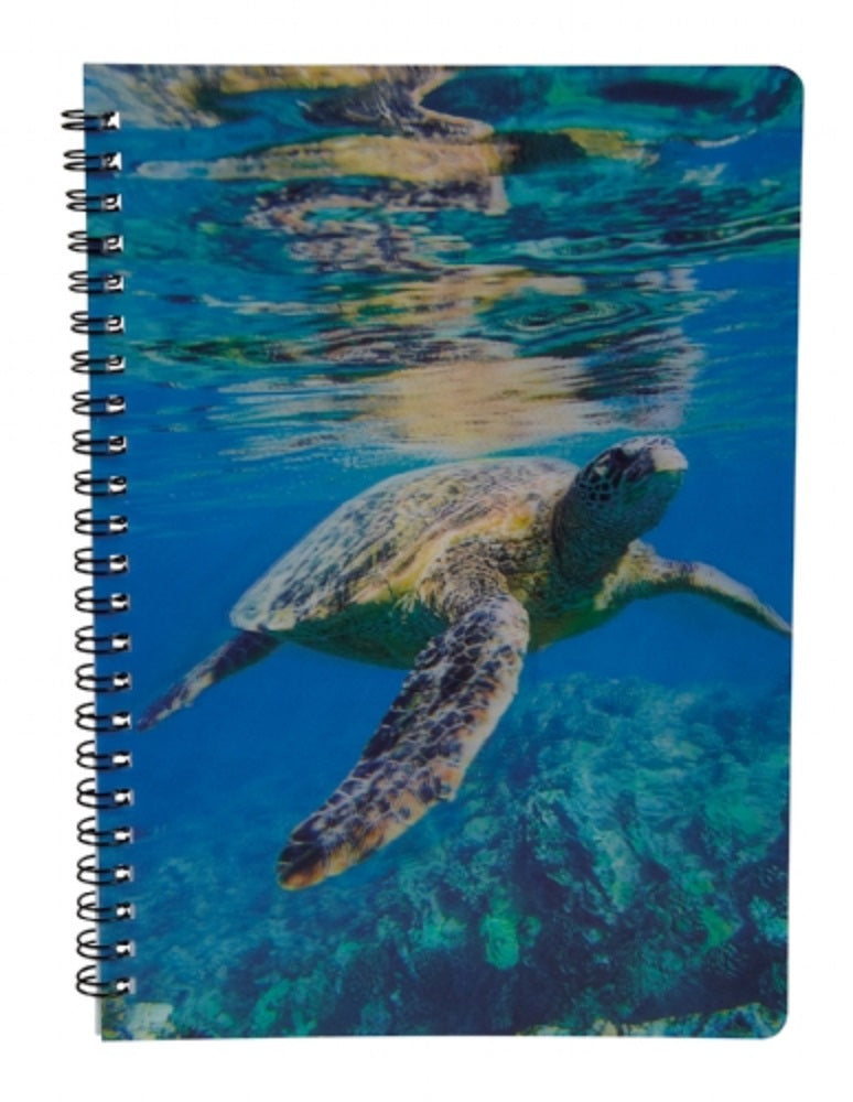 Ravensden 3D Turtle Notebook