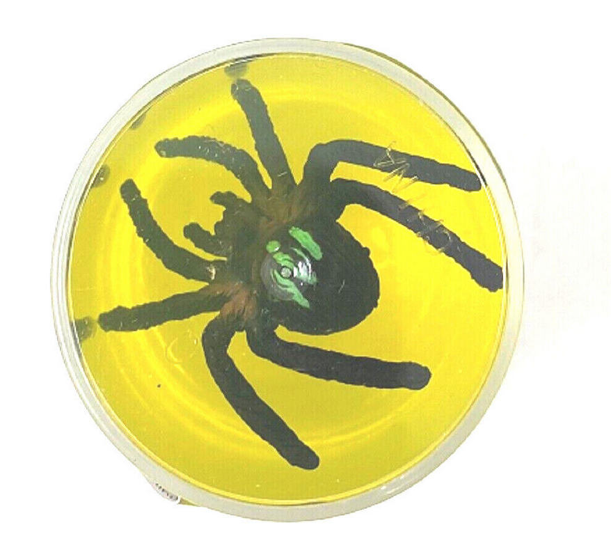 Ravensden Spider Slime