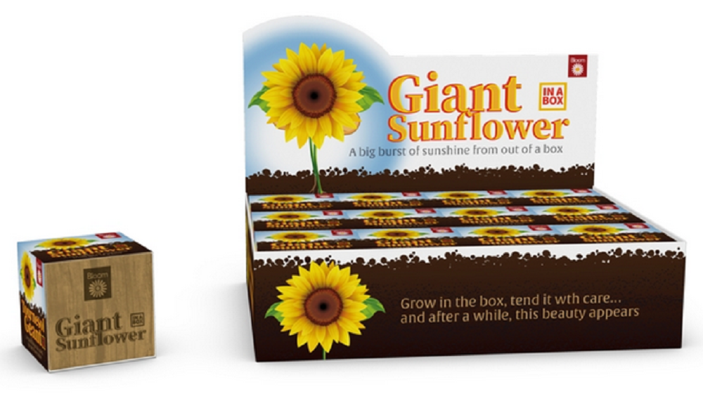 Funtime Gifts GYO Giant Sunflower