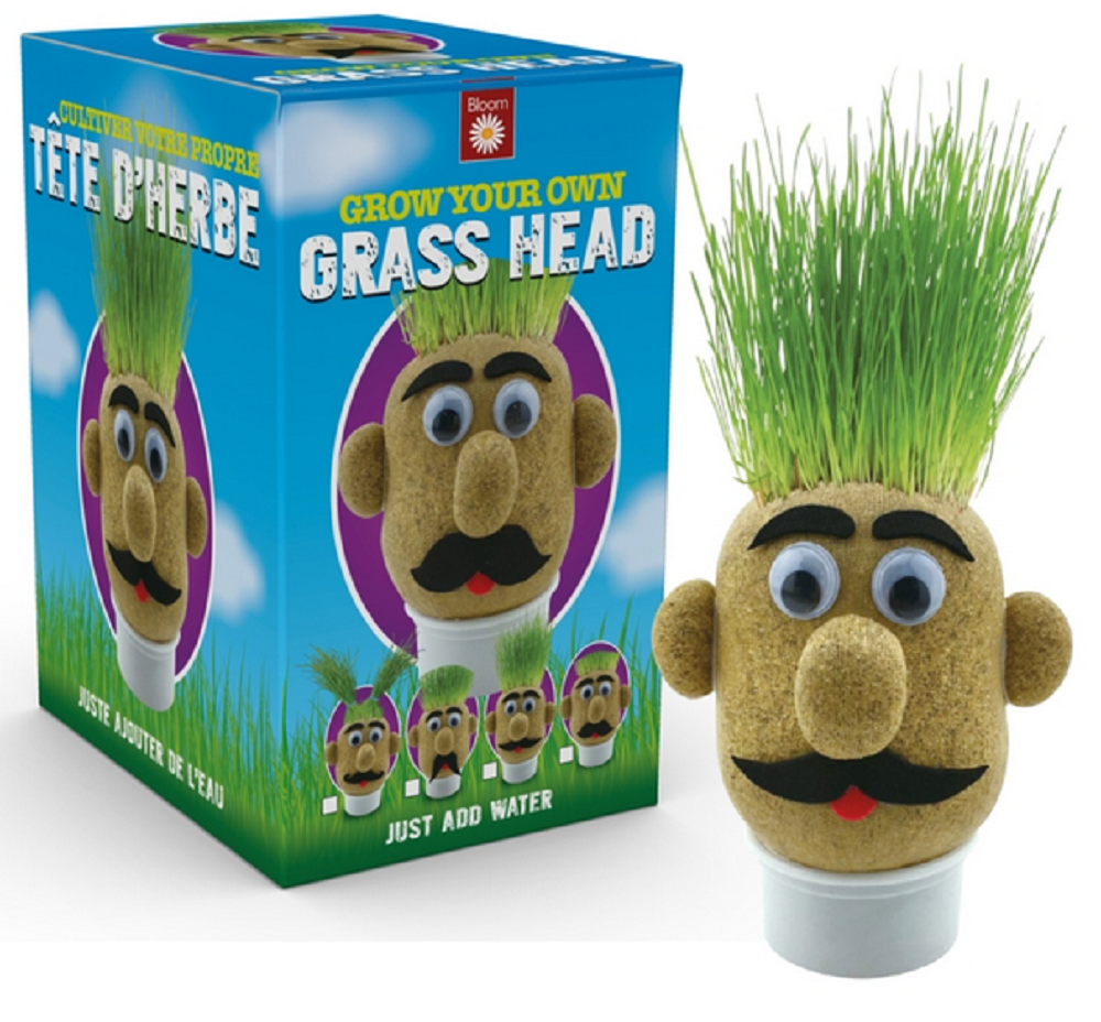 Funtime Gifts Mr Grasshead