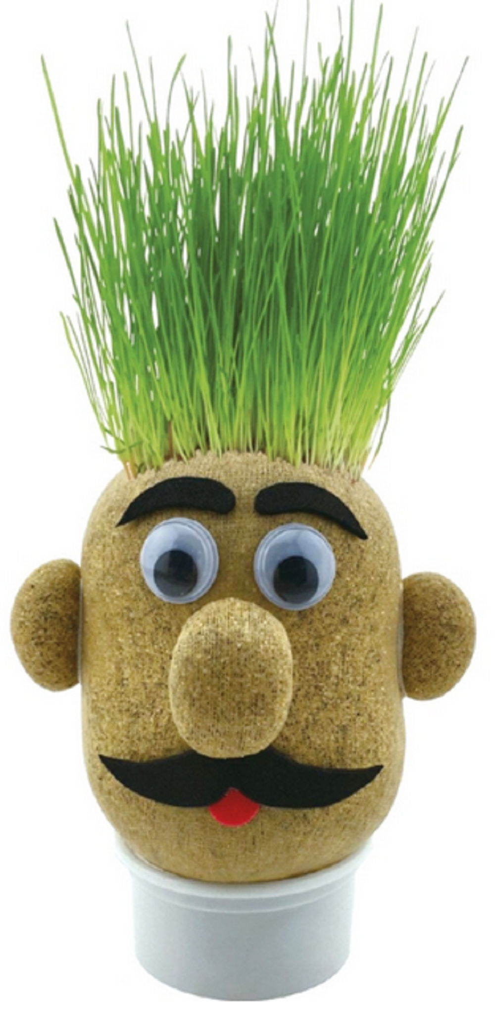 Funtime Gifts Mr Grasshead