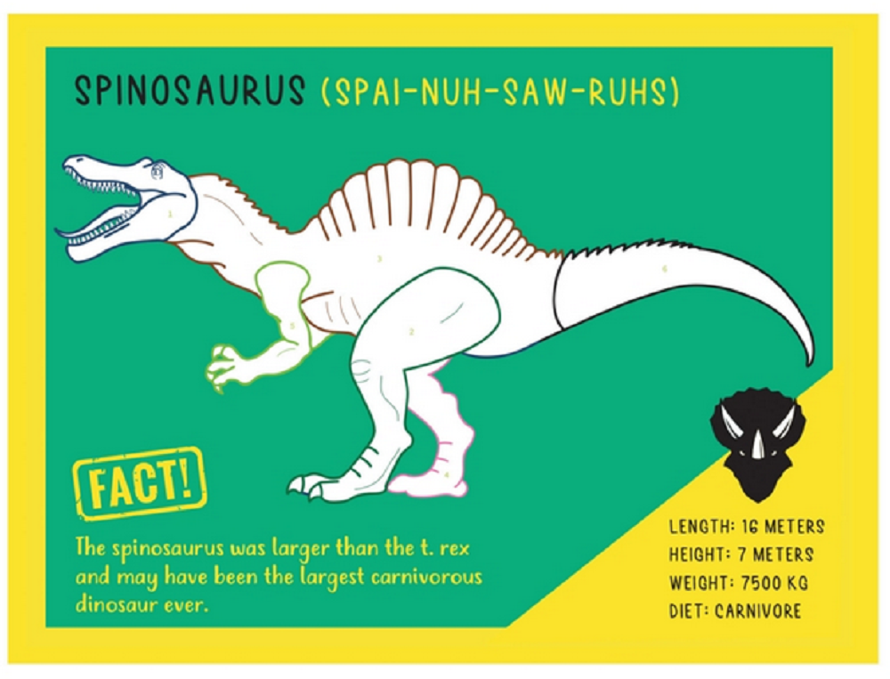 Funtime Gifts So You Think Your An Expert Dinosaurs Cards