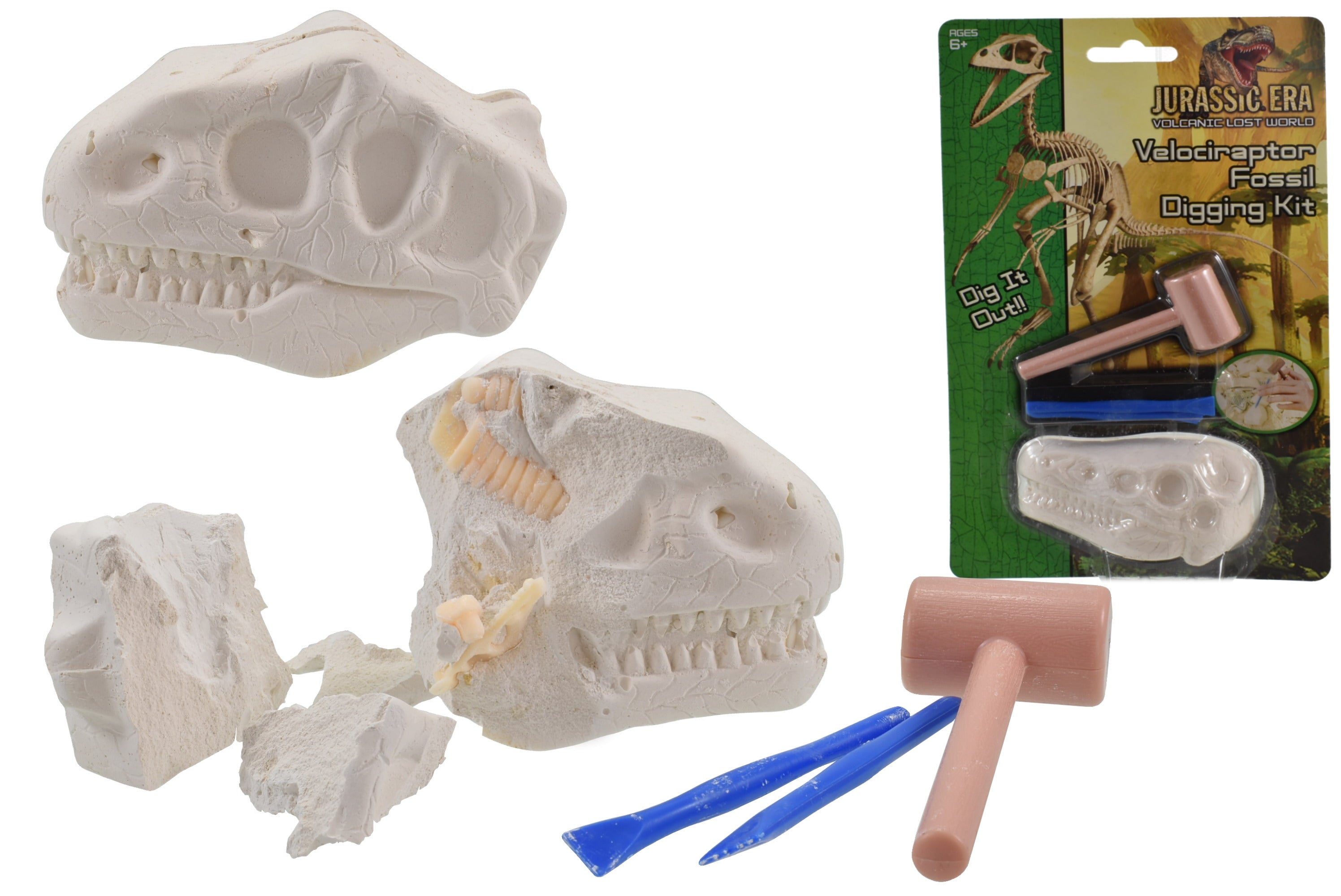 Dinosaur Skull Fossil Excavation Kit
