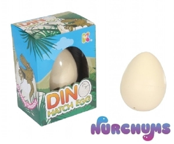 Small Dino Hatch Egg