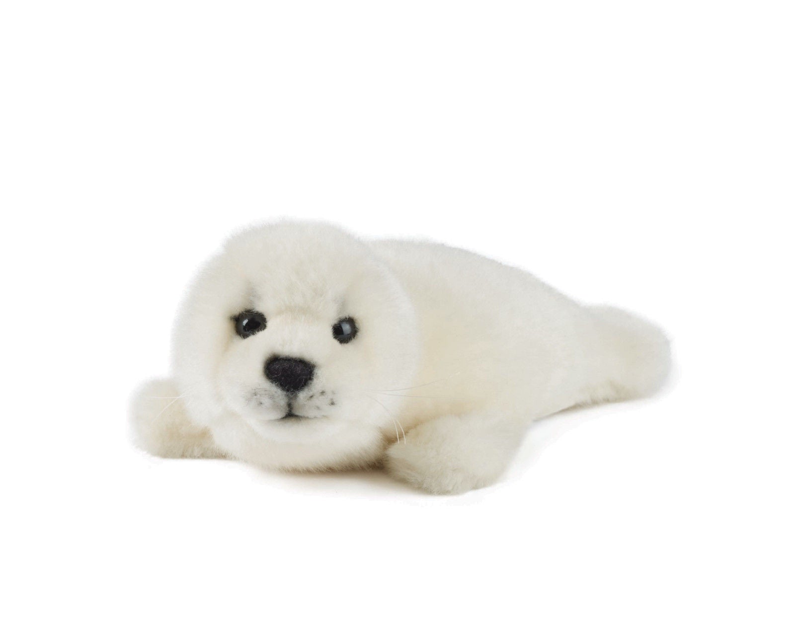 Living Nature Grey Seal Pup