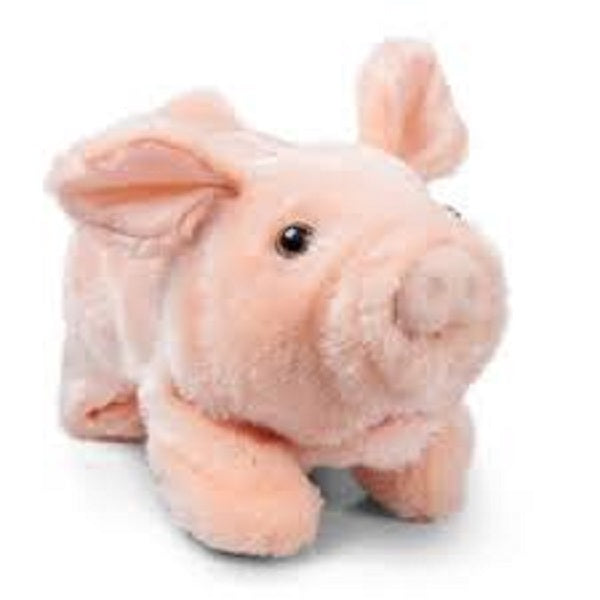 Playful Piggy